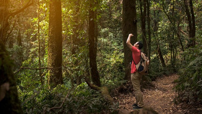 Tips Bertahan Hidup Ketika Tersesat di Gunung atau Hutan