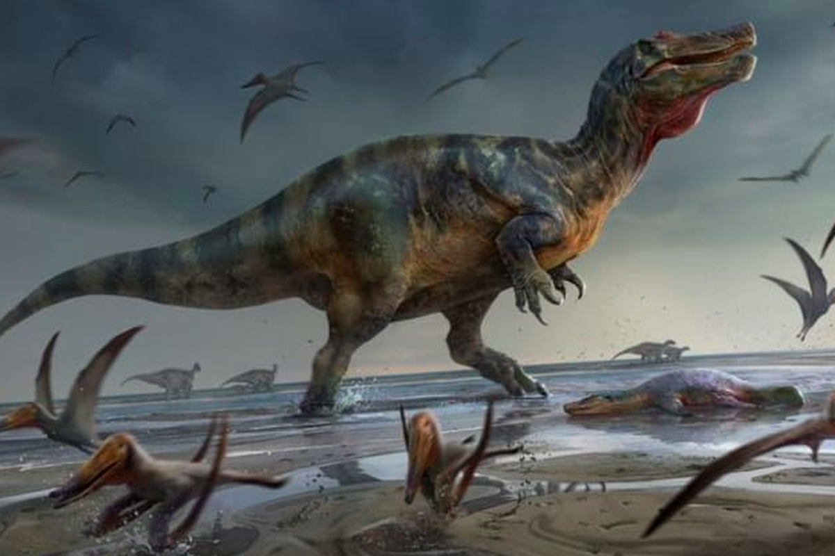 Fakta Menarik Tentang Dinosaurus