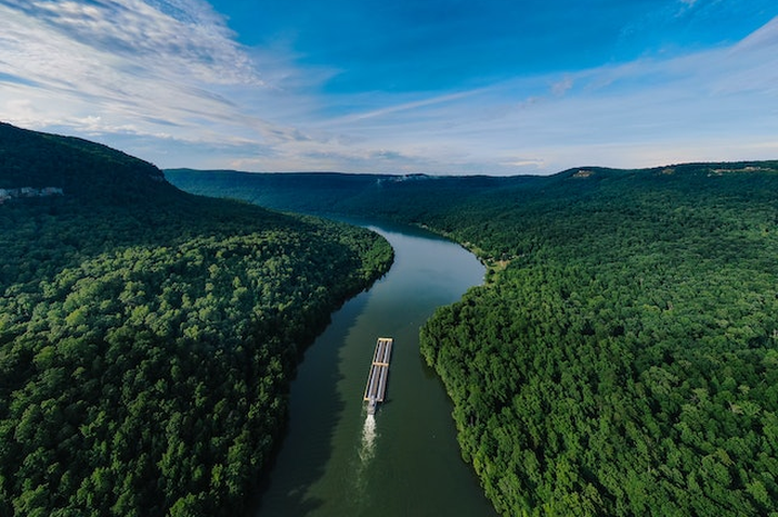 Fakta Menarik Hutan Amazon Yang Harus Di Ketahui